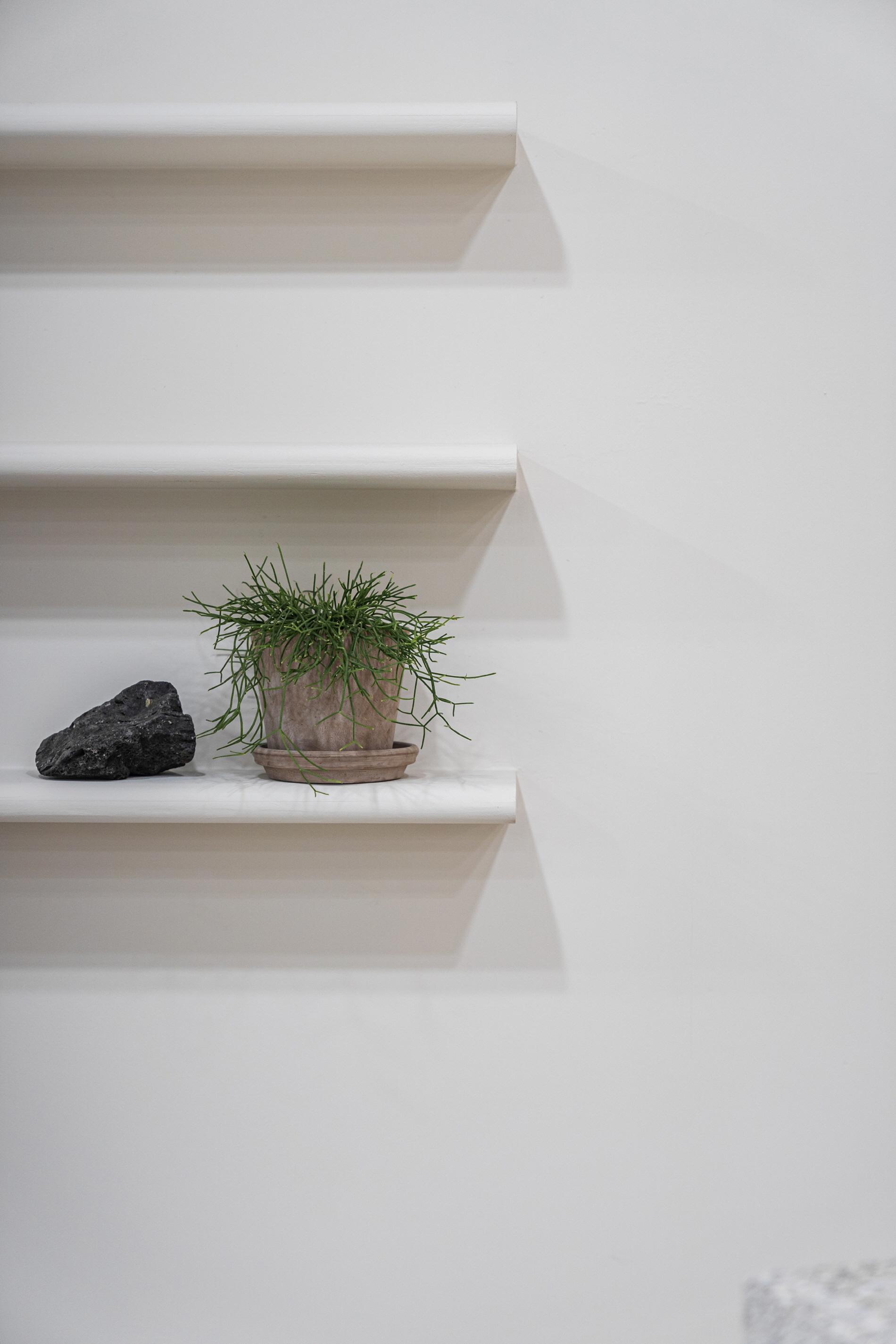 더 코나 메디스페이스 포트폴리오